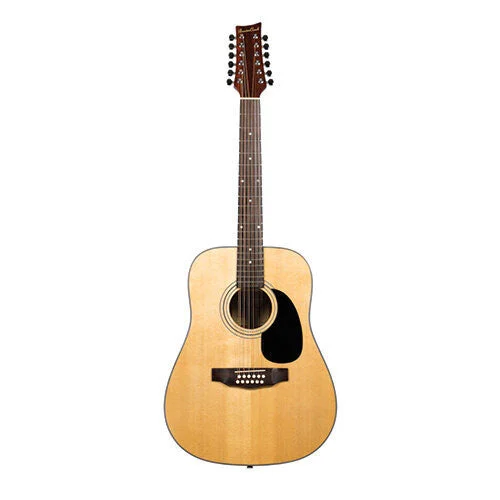 Beaver Creek Dreadnaught 12 String Acoustic w/Bag BCTV05