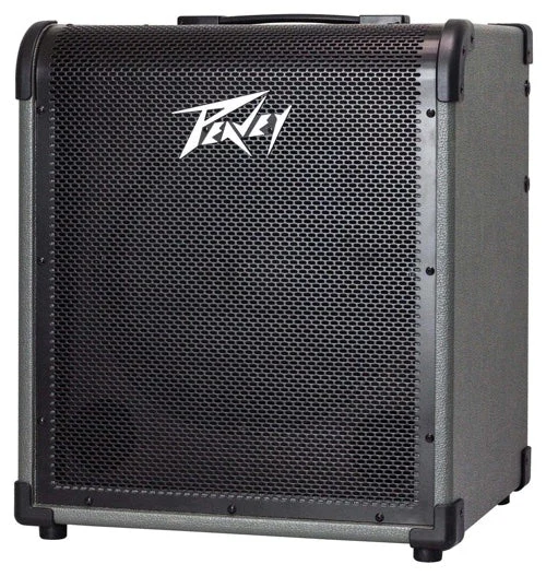 MAX 150 150-Watt Bass Amp Combo 3616830