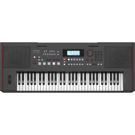 Roland E-X50 61-Keys Arranger Keyboard with Speakers